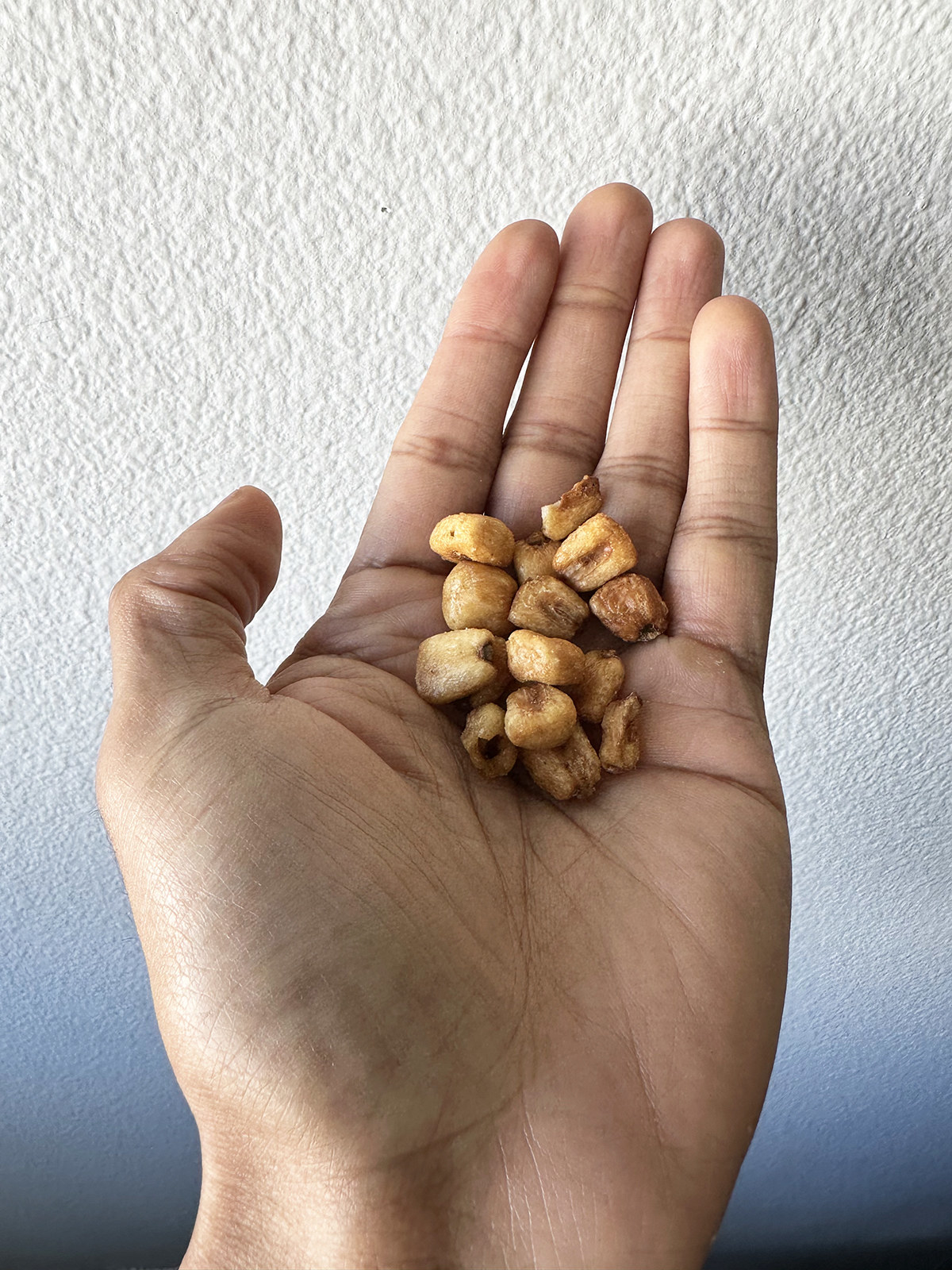 A hand holding several Corn Nuts