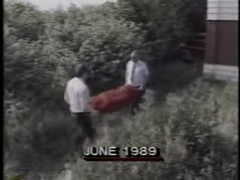 News footage of bodybag being carried