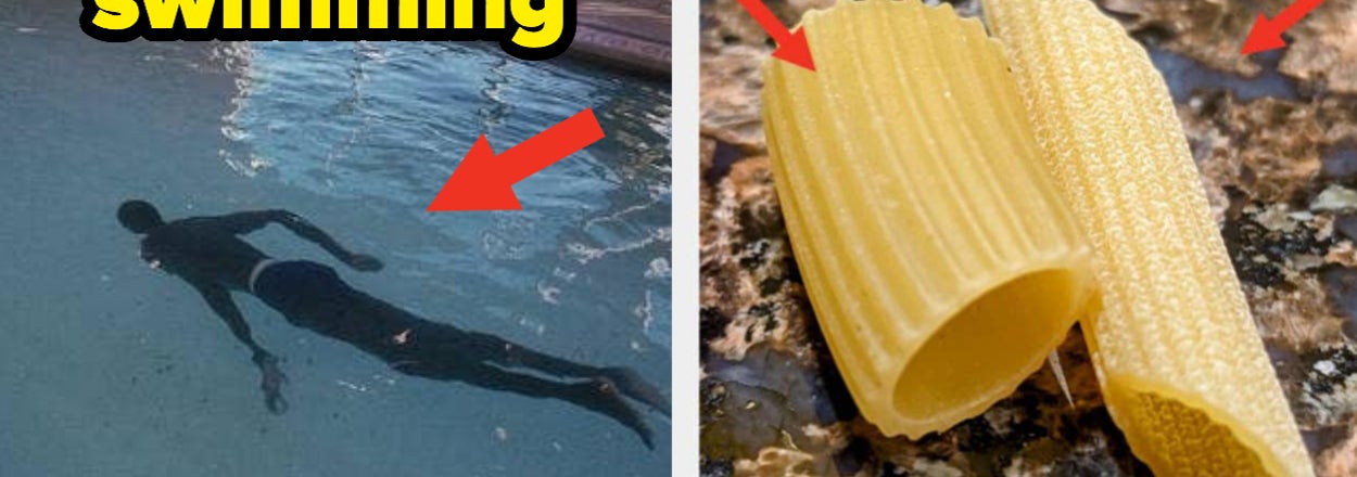 My Literal Pea-Sized Brain Is Completely Blown After Seeing These 22 Incredibly Fascinating Pictures For The First Time