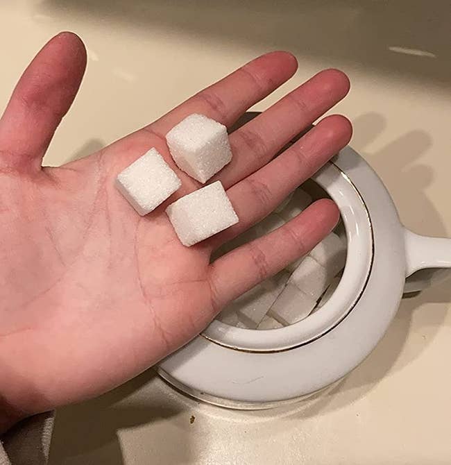 sugar cubes in a reviewer's hand