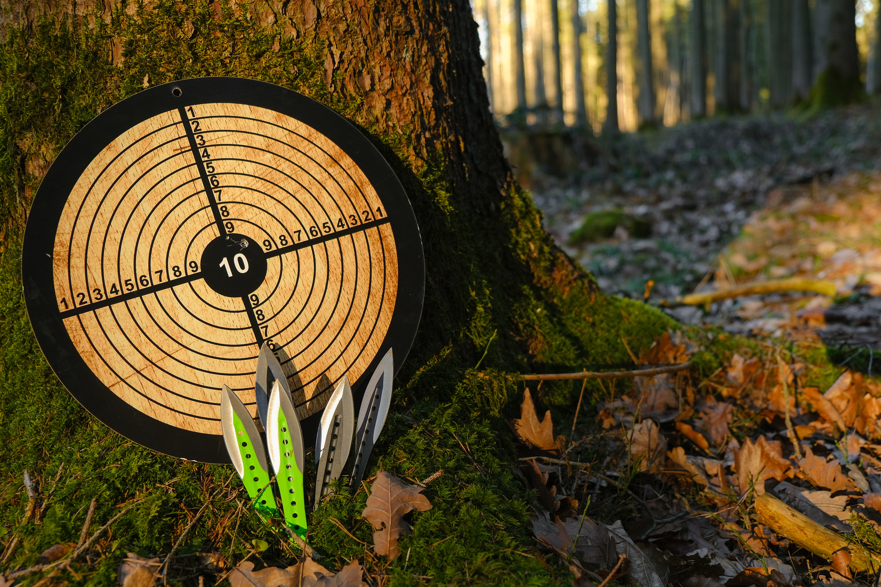 An image of a target board propped against a tree, with throwing knives in front of it
