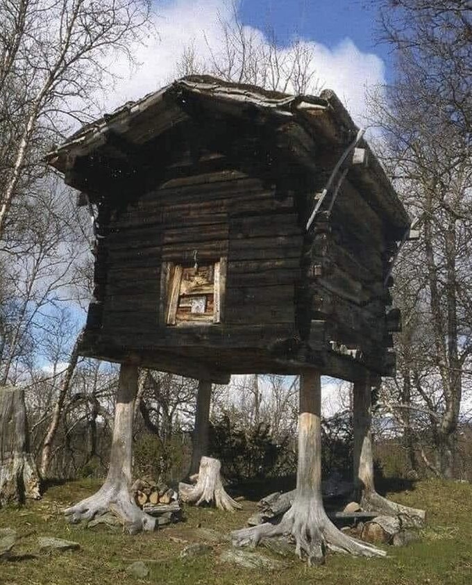 A log cabin built on long tree trunks that look like monster feet