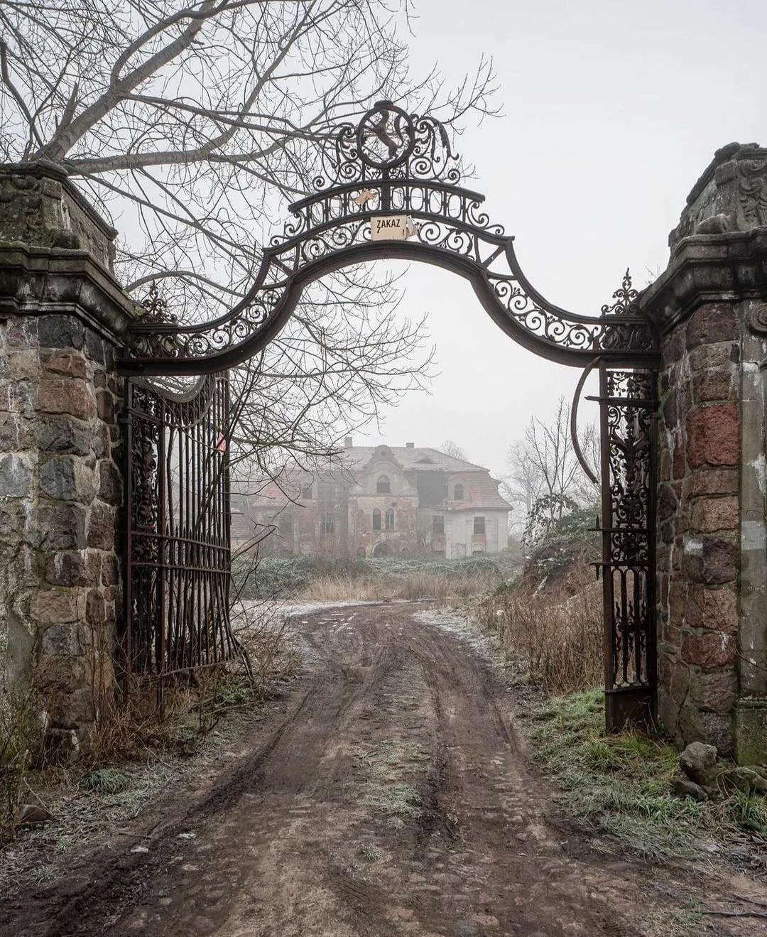 An abandoned mansion in the fog with an old gate entrance