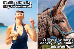 A split thumbnail, with two images - one showing a woman smiling up at the sun on a beach, and one showing a donkey's side profile