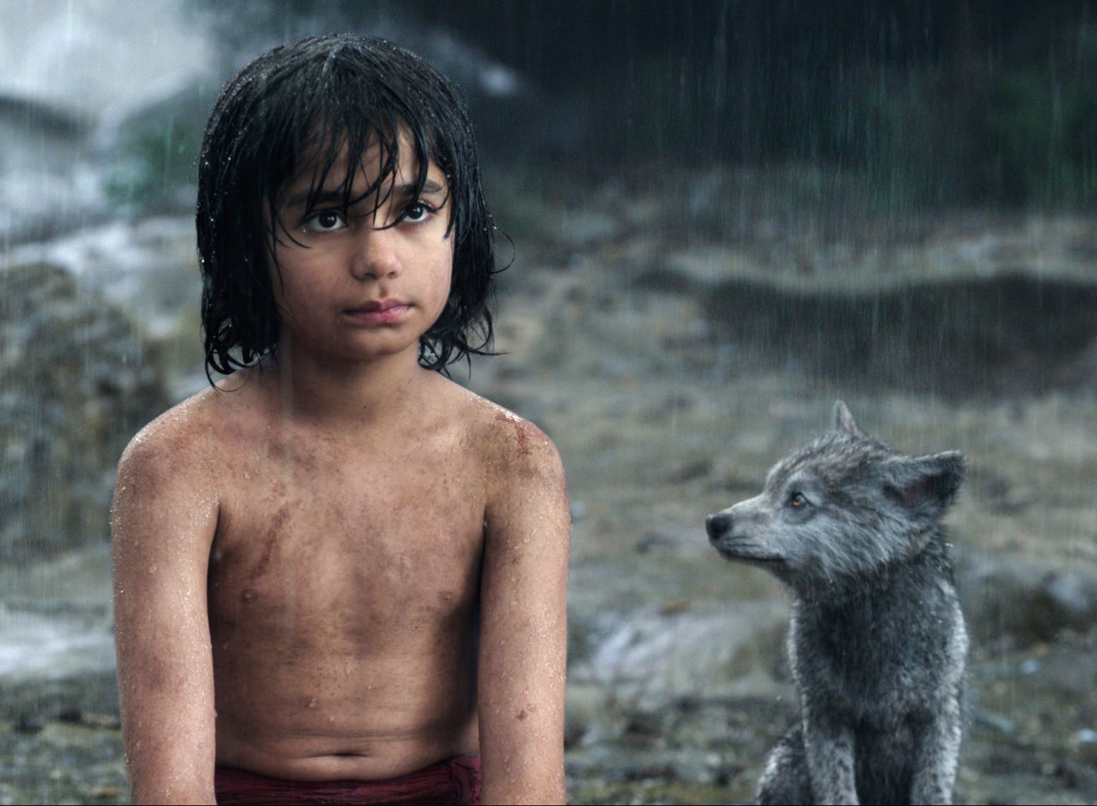 Neel Sethi and Gray in The Jungle Book (2016)