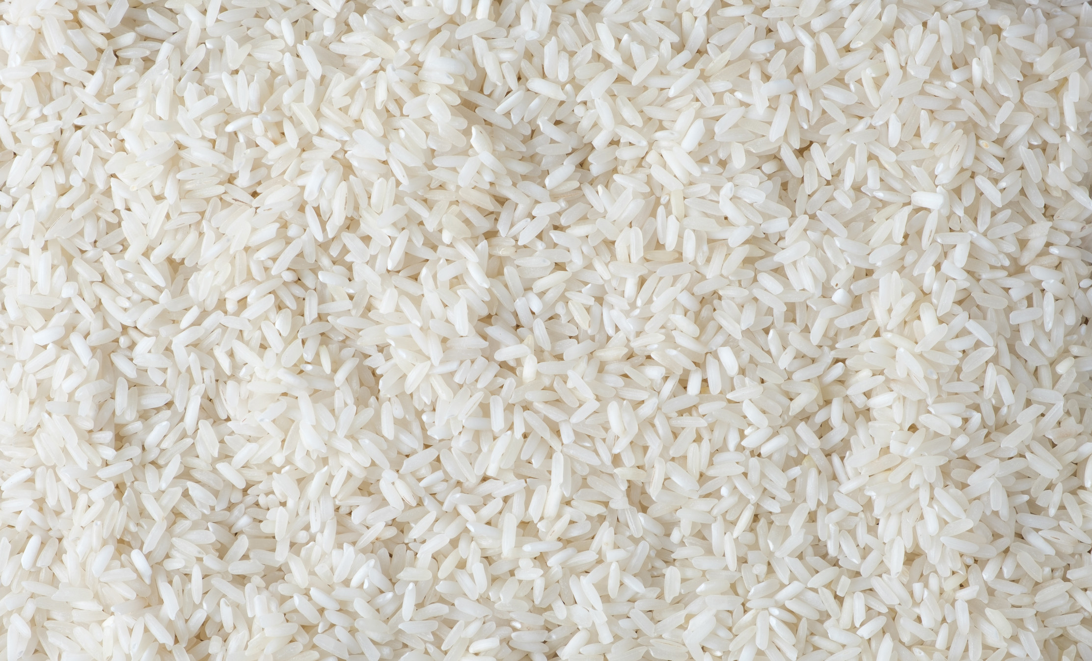 Rice grains