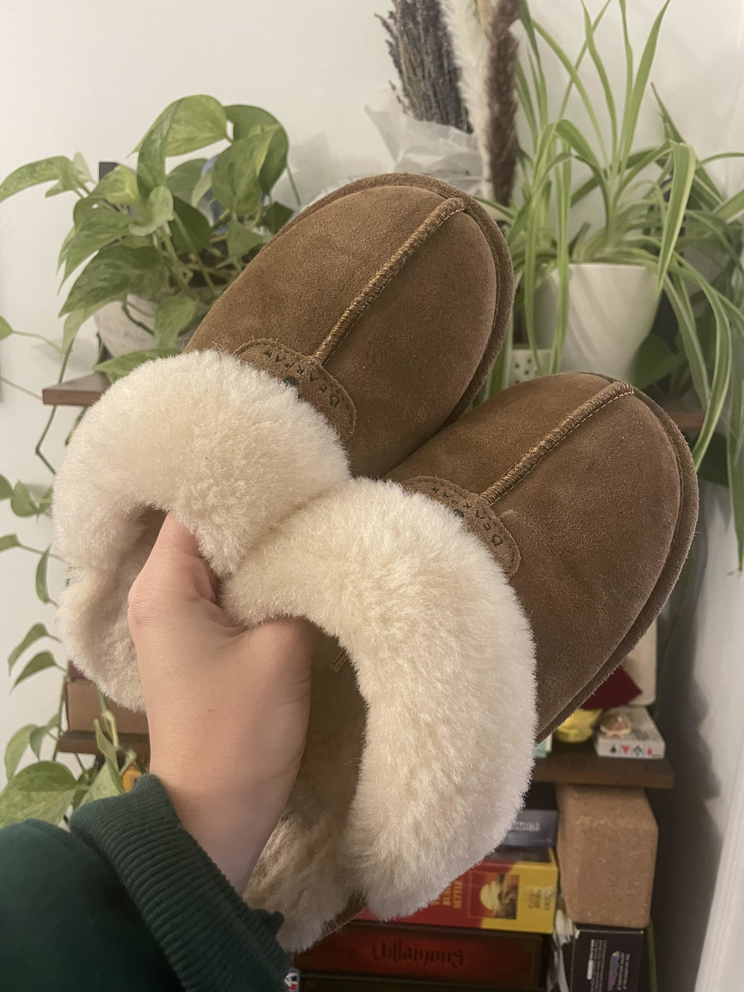 Bearpaw alice slippers new arrivals