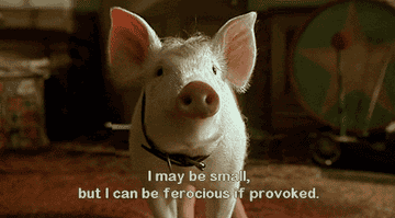 Babe saying &quot;I may be small, but I can be ferocious if provoked&quot; in &quot;Babe: Pig in the City&quot;