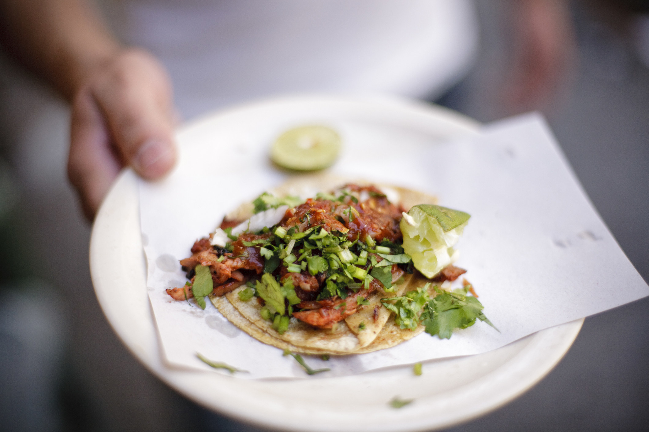 A street taco on a plate.