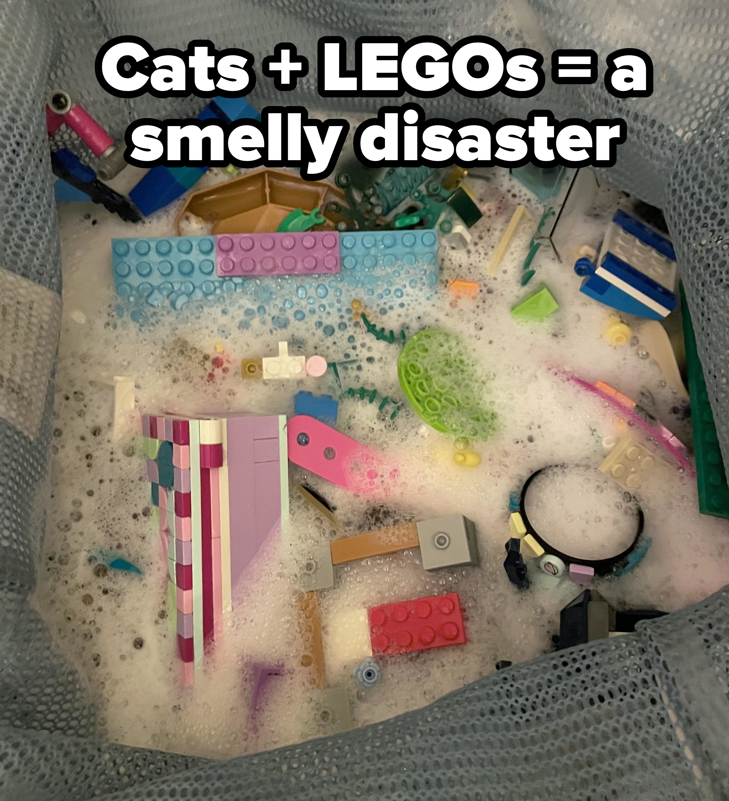 cat pee in a box of legos