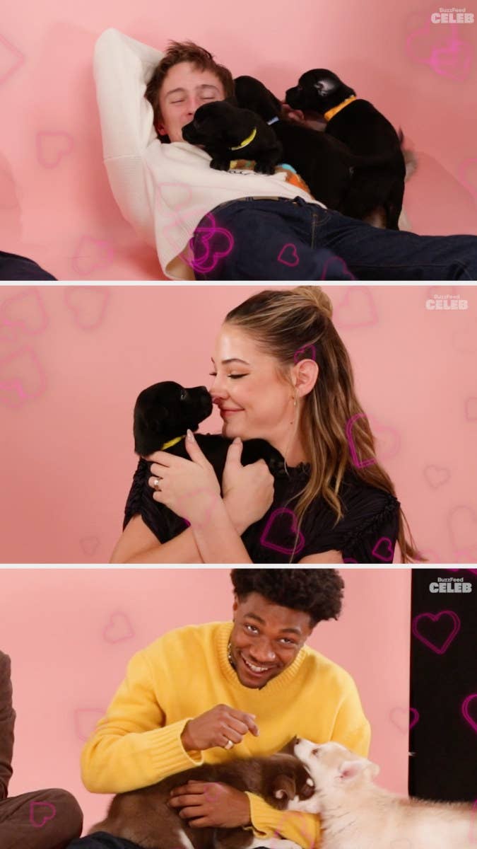 The cast with various puppies all over them