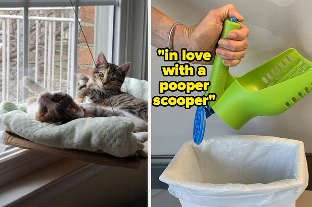 Reviewer's cats relaxing in their cat hammock and a model opening the cat litter scooper into a trash can labeled "in love with a pooper scooper"