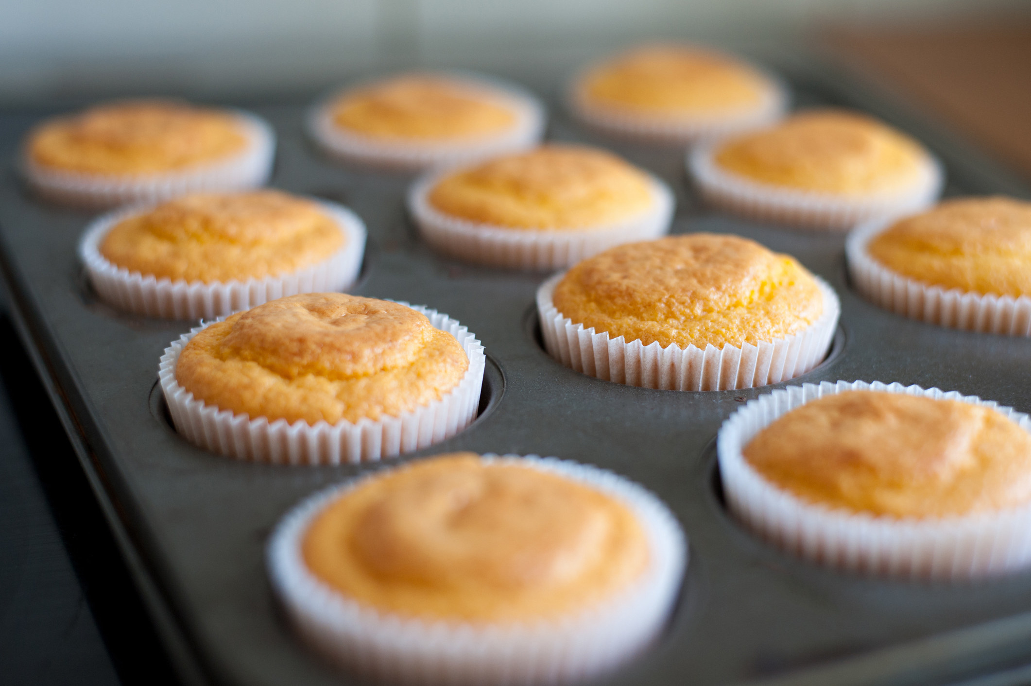 Freshly baked corn muffins in molds.