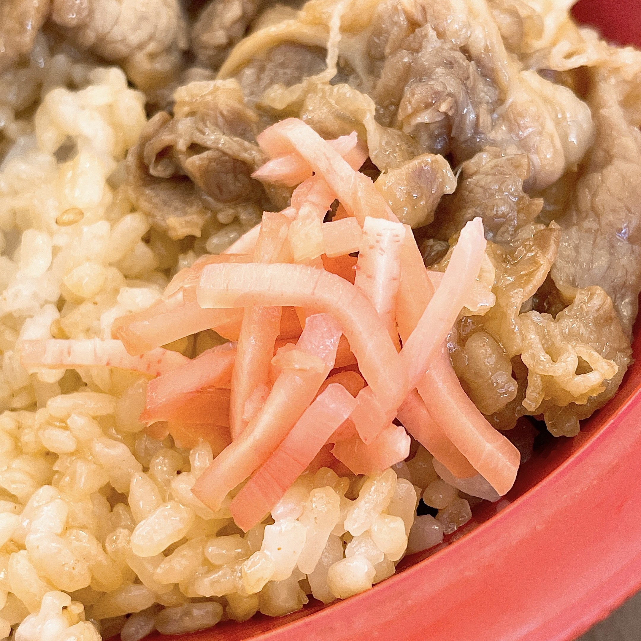 すき家のおすすめのメニュー「牛カルビ丼」