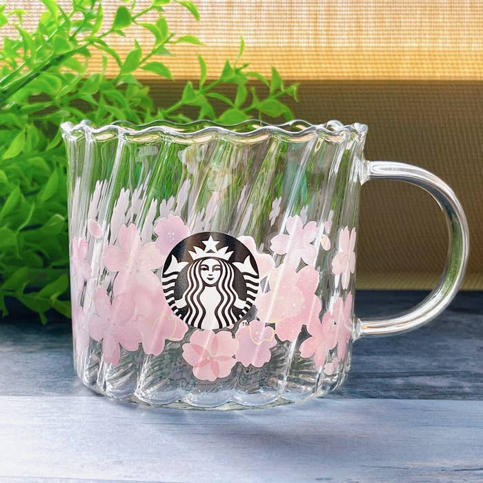 スターバックス さくら 2023 マグカップ&耐熱ガラスコップ 3点 スタバ  