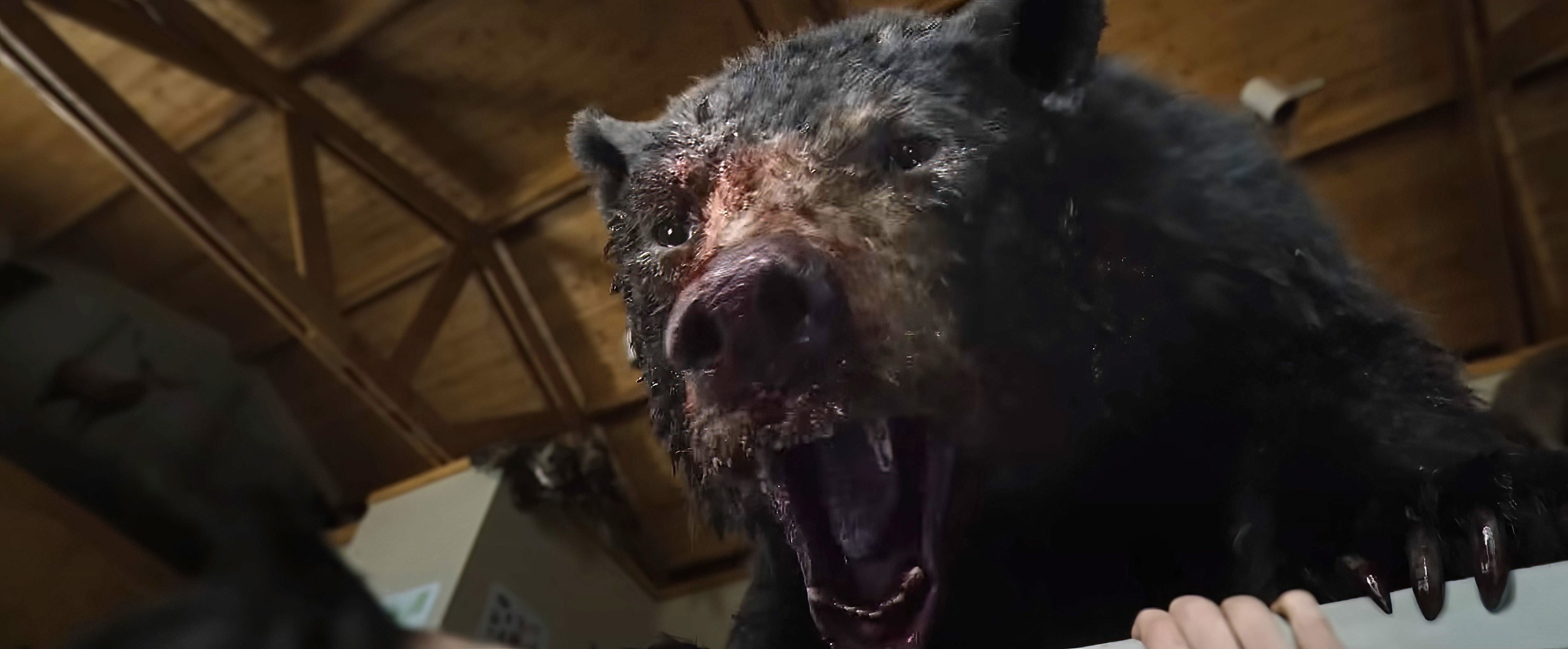 Close-up of bear covered in blood