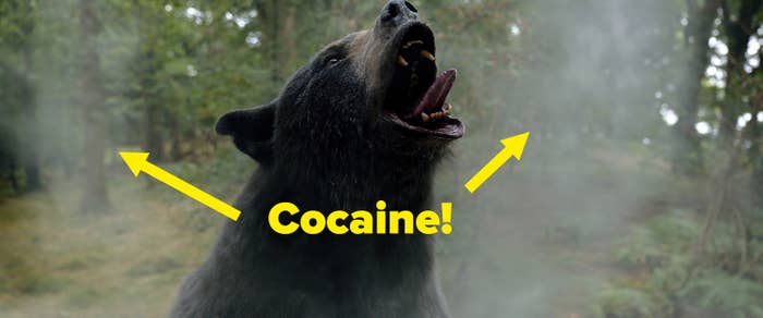 A black bear growling with clouds of cocaine around its head