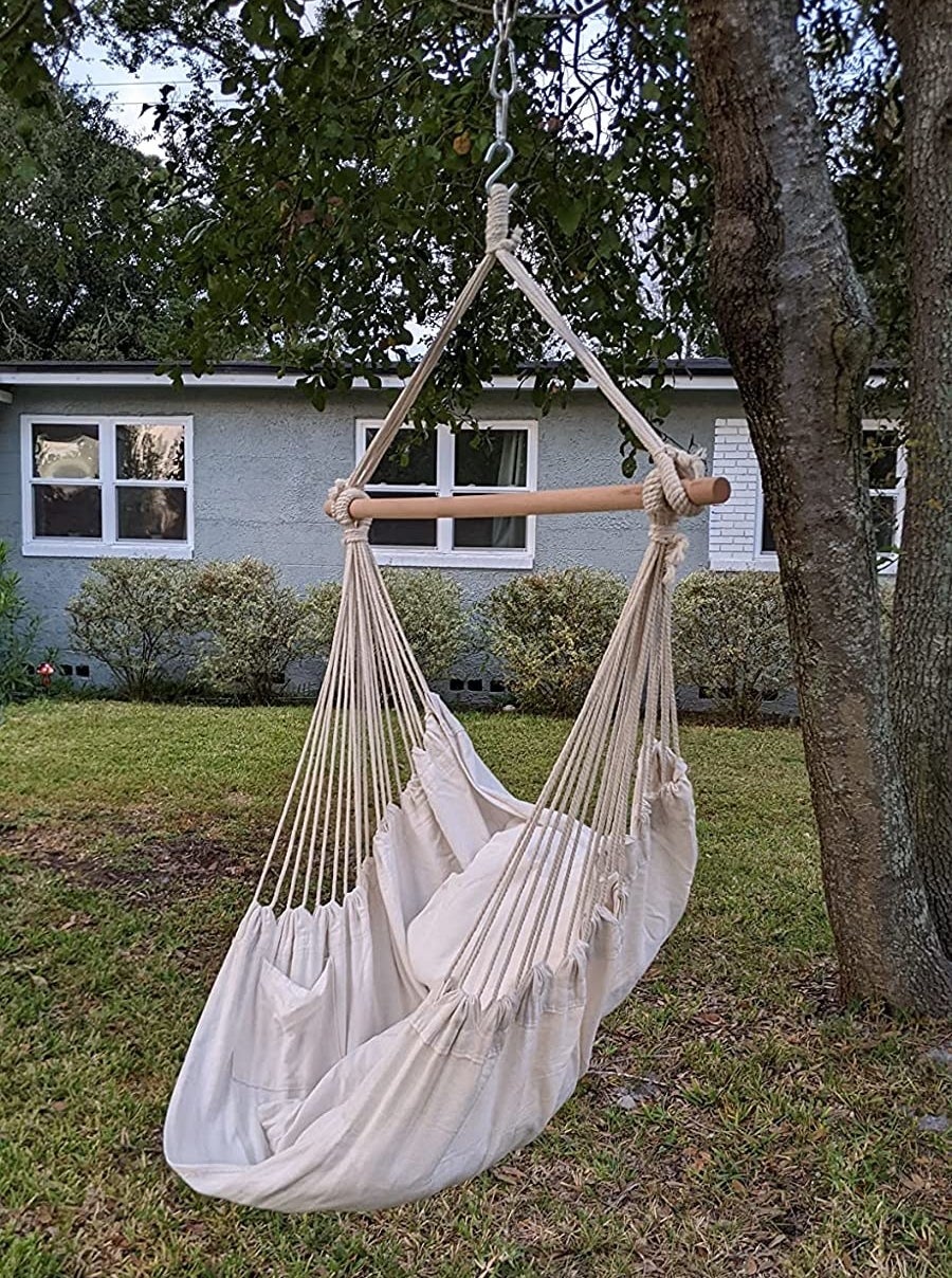 reviewer&#x27;s hammock hangs from a tree