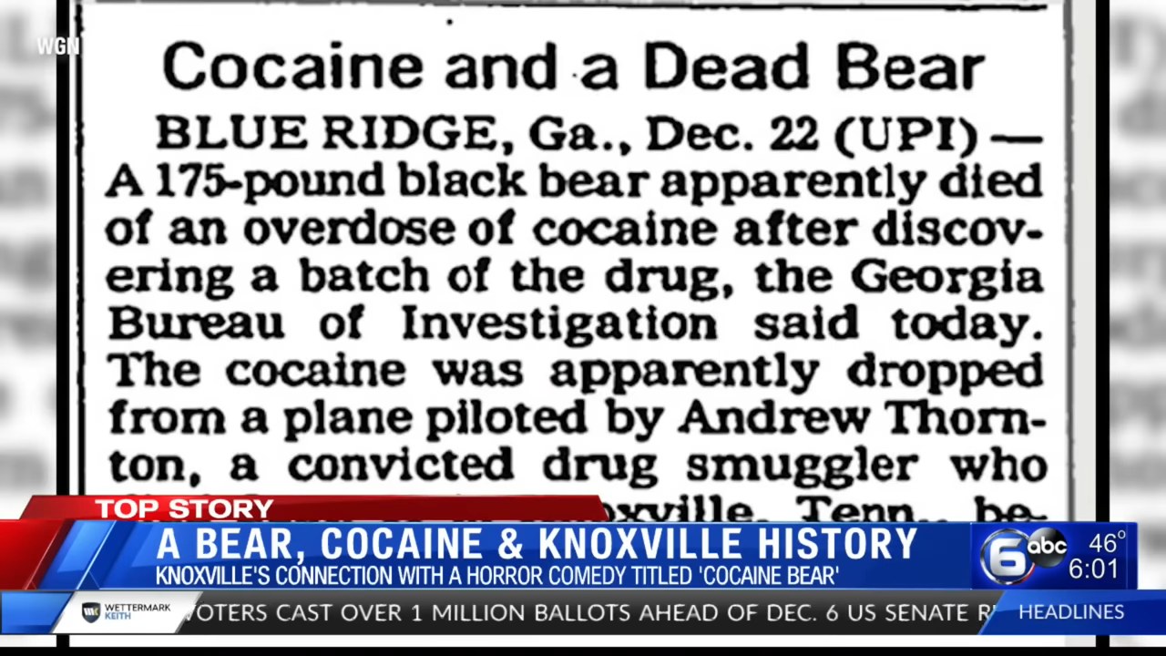 Newspaper clipping about the 175-pound black bear that died of an overdose in George, with headline &quot;Cocaine and a Dead Bear&quot;