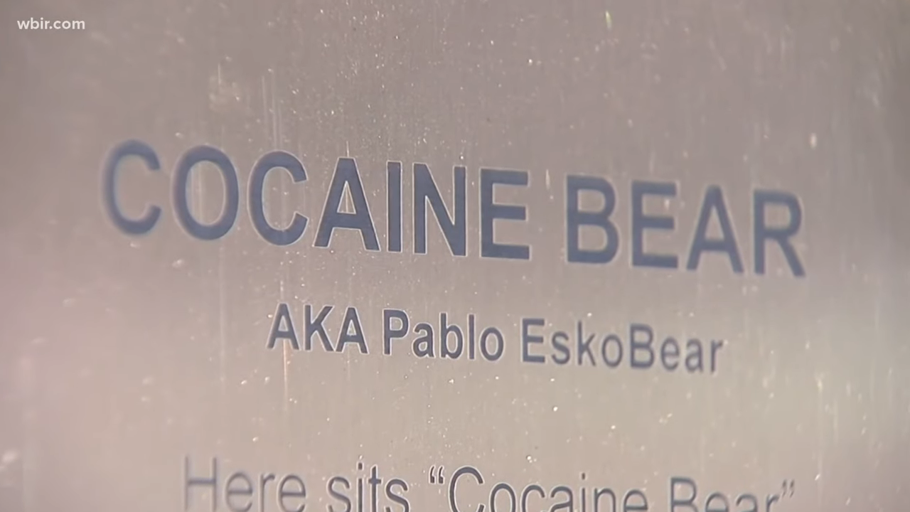 Plaque that says &quot;cocaine bear&quot;
