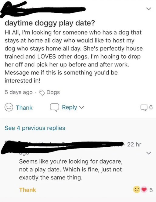 Someone frames their request as a &quot;play date,&quot; but asks if there is anyone willing to house their dog and stay at home with it all day