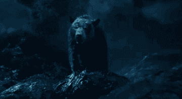 bear roaring on a cliff