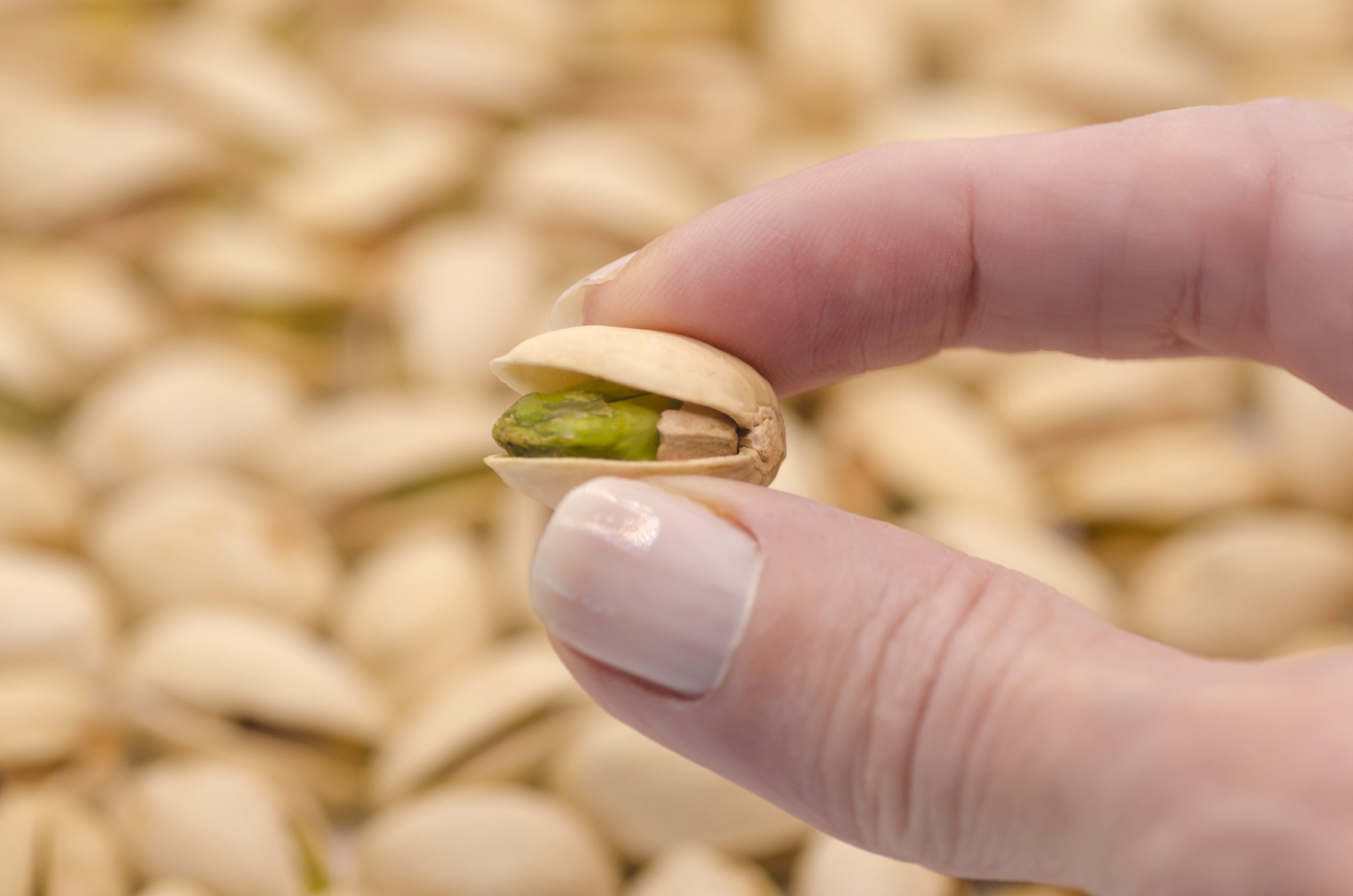 hand holds a pistachio