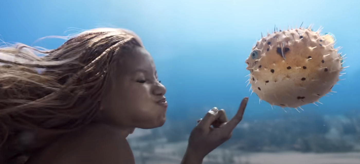 halle underwater with a blow fish