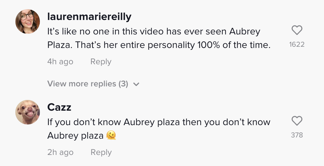 Aubrey Plaza's 'annoyed' SAG awards reaction explained by White Lotus  co-star - PopBuzz