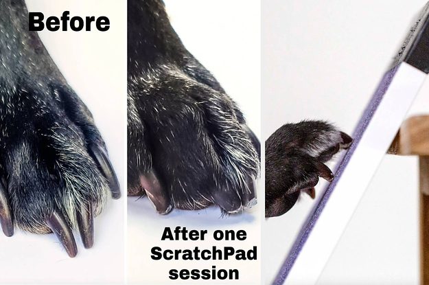 a before and after for the scratchpad