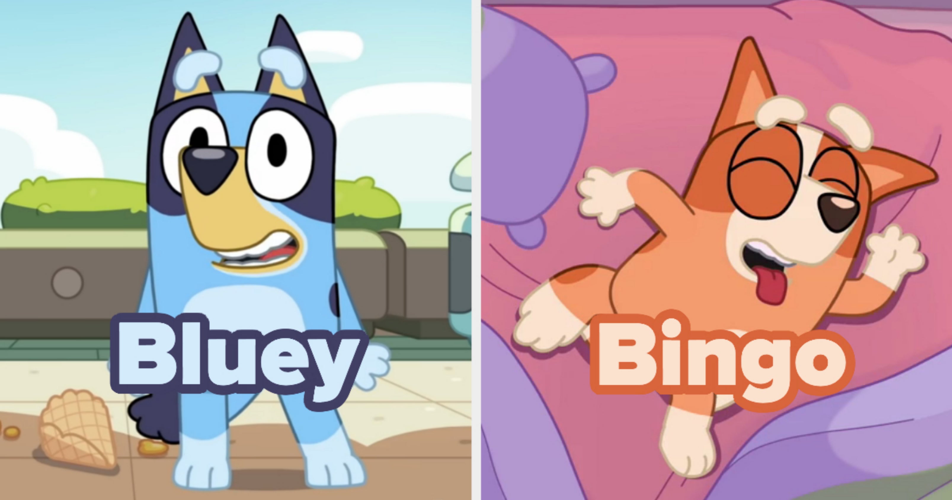 Which Bluey Character Are You? Quiz