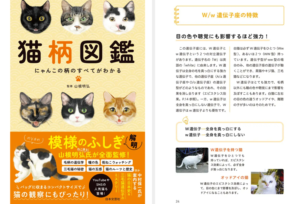 猫の柄はどうやって決まる？」猫にまつわる疑問がスッキリ解決する『猫