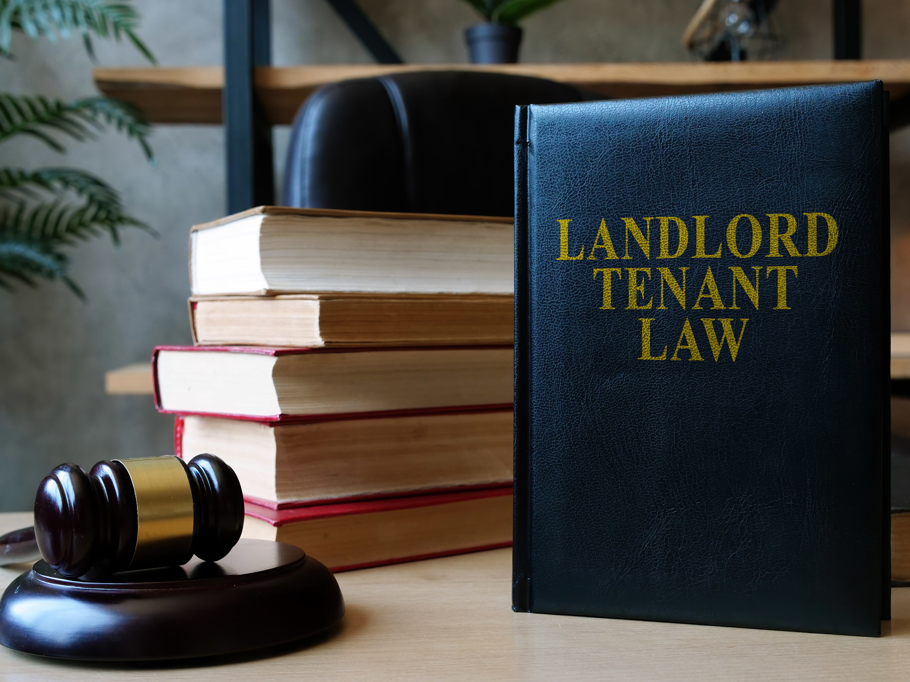 landlord tenant law book