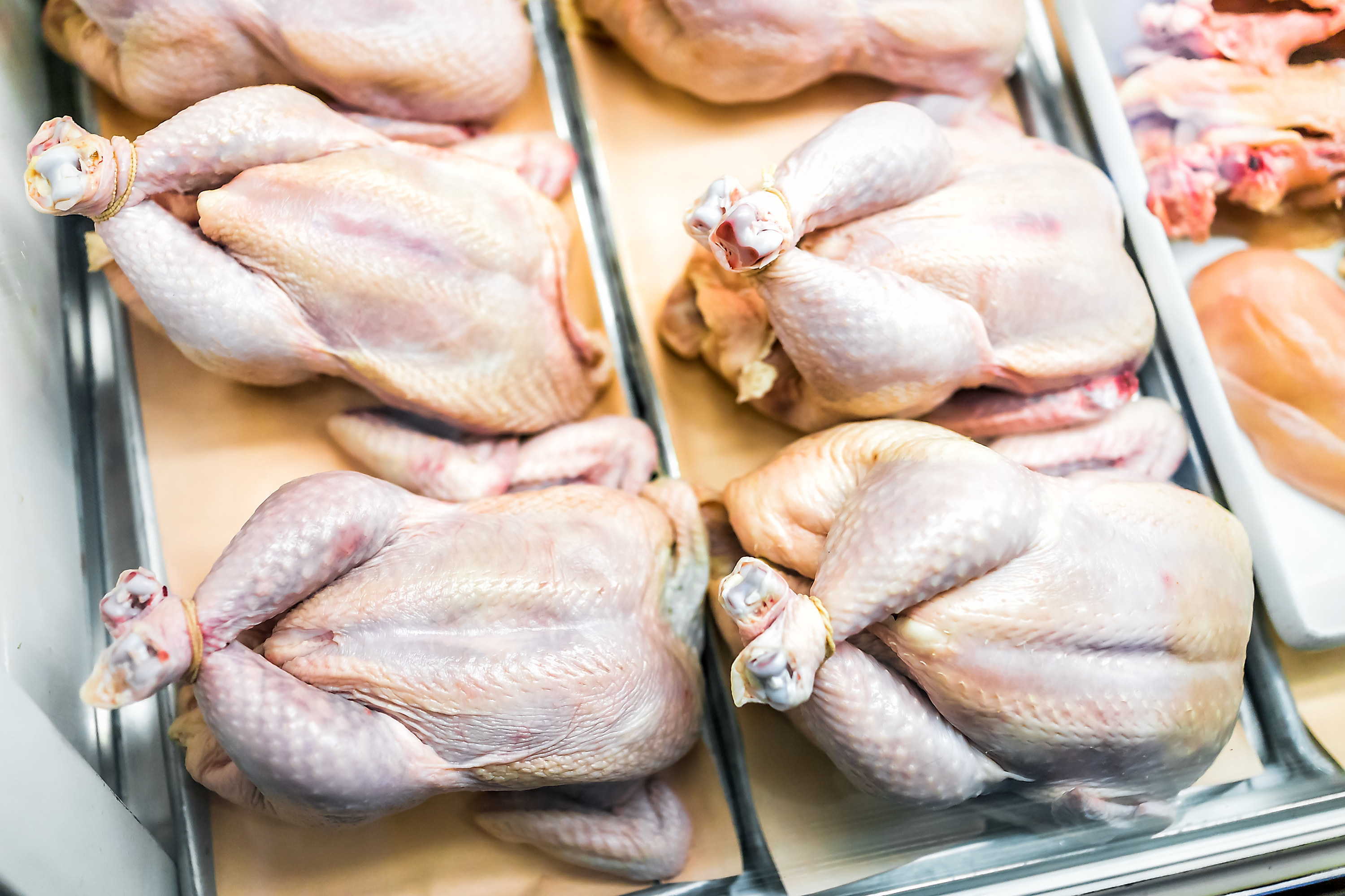 Raw, whole chickens tied with string in butcher shop grocery store