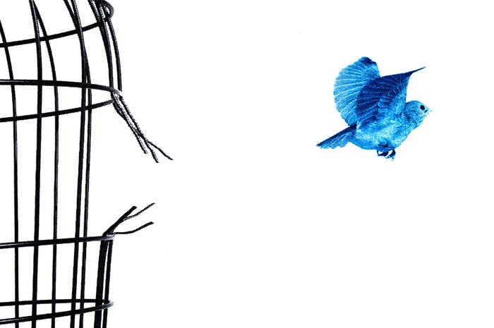 an illustration fo the twitter bird breaking free from a bird cage and flying off into the distance