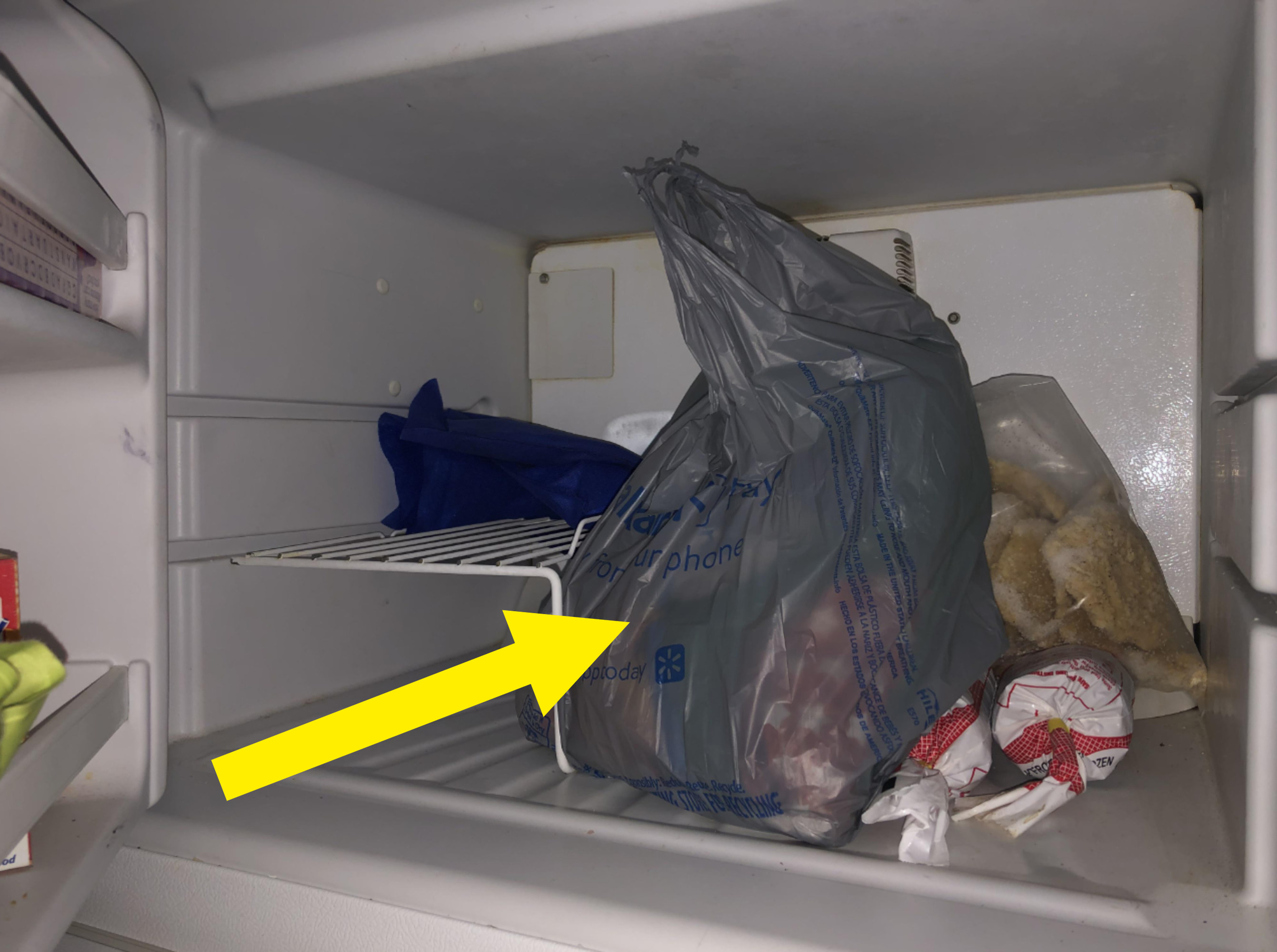 A grocery bag in the freezer