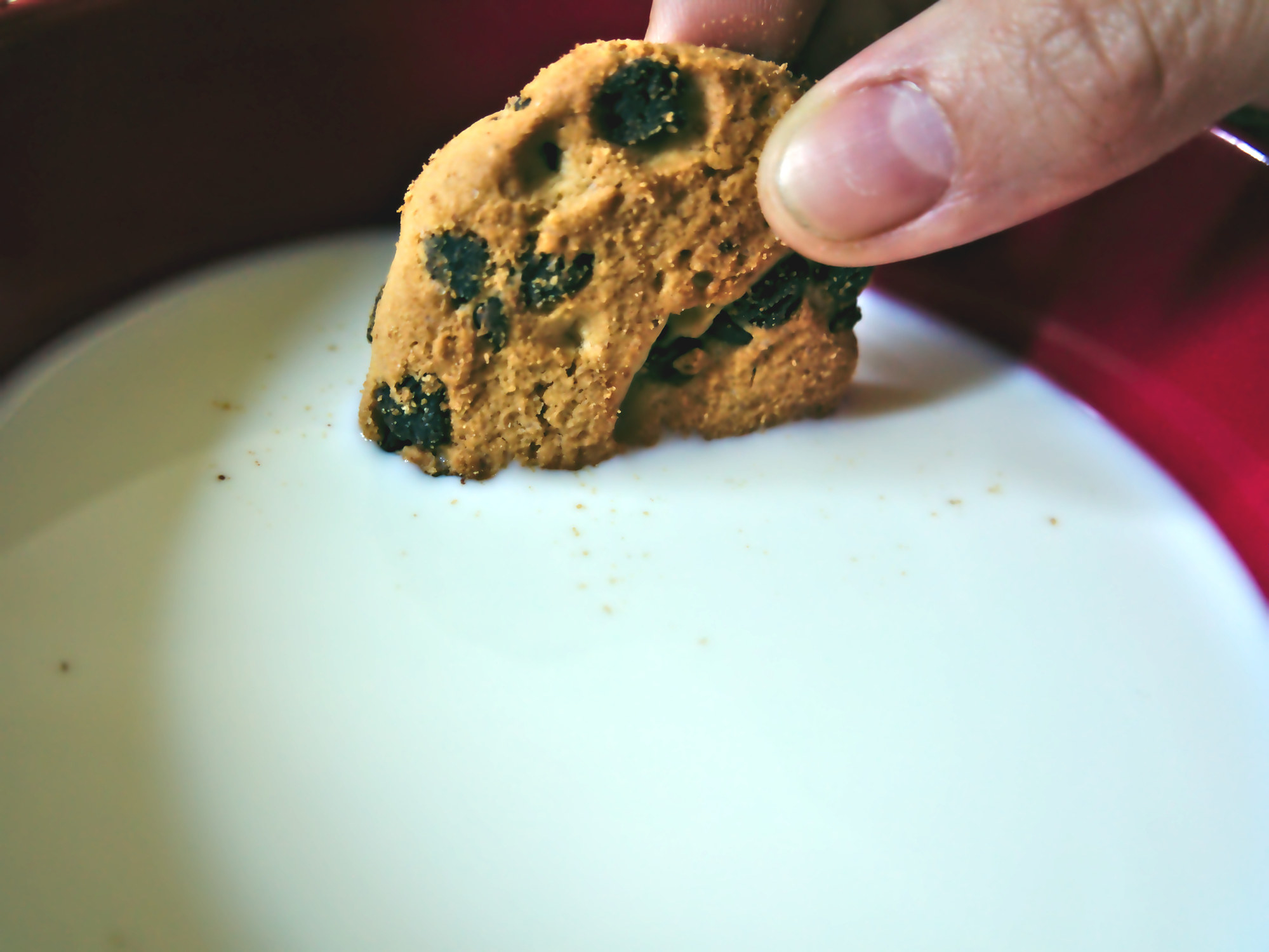 Dunking a cookie into milk.