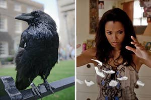 On the left, a raven perched on a bench, and on the right, Bonnie from The Vampire Diaries levitating some feathers
