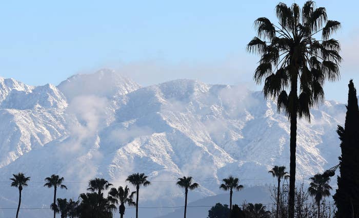 A group of mountains covered in snow with palm trees in the foreground