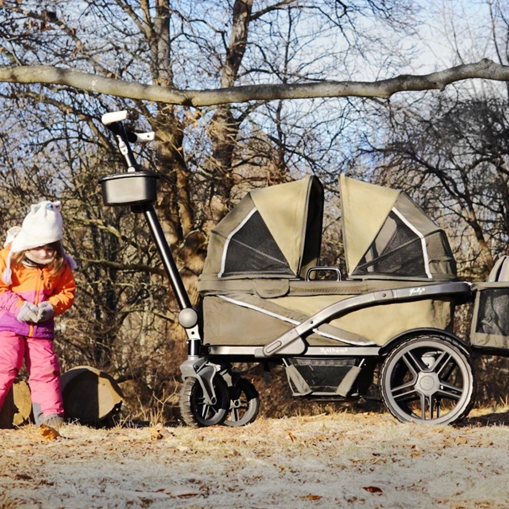 the stroller wagon