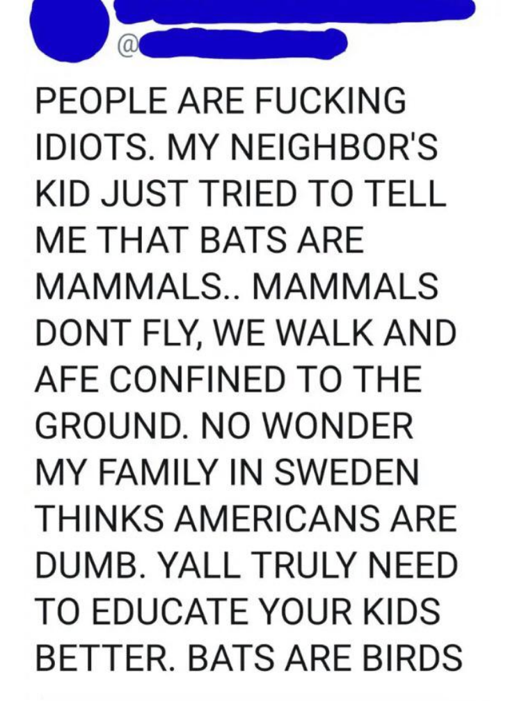 &quot;My neighbor&#x27;s kid just tried to tell me bats are mammals, mammals don&#x27;t fly&quot;