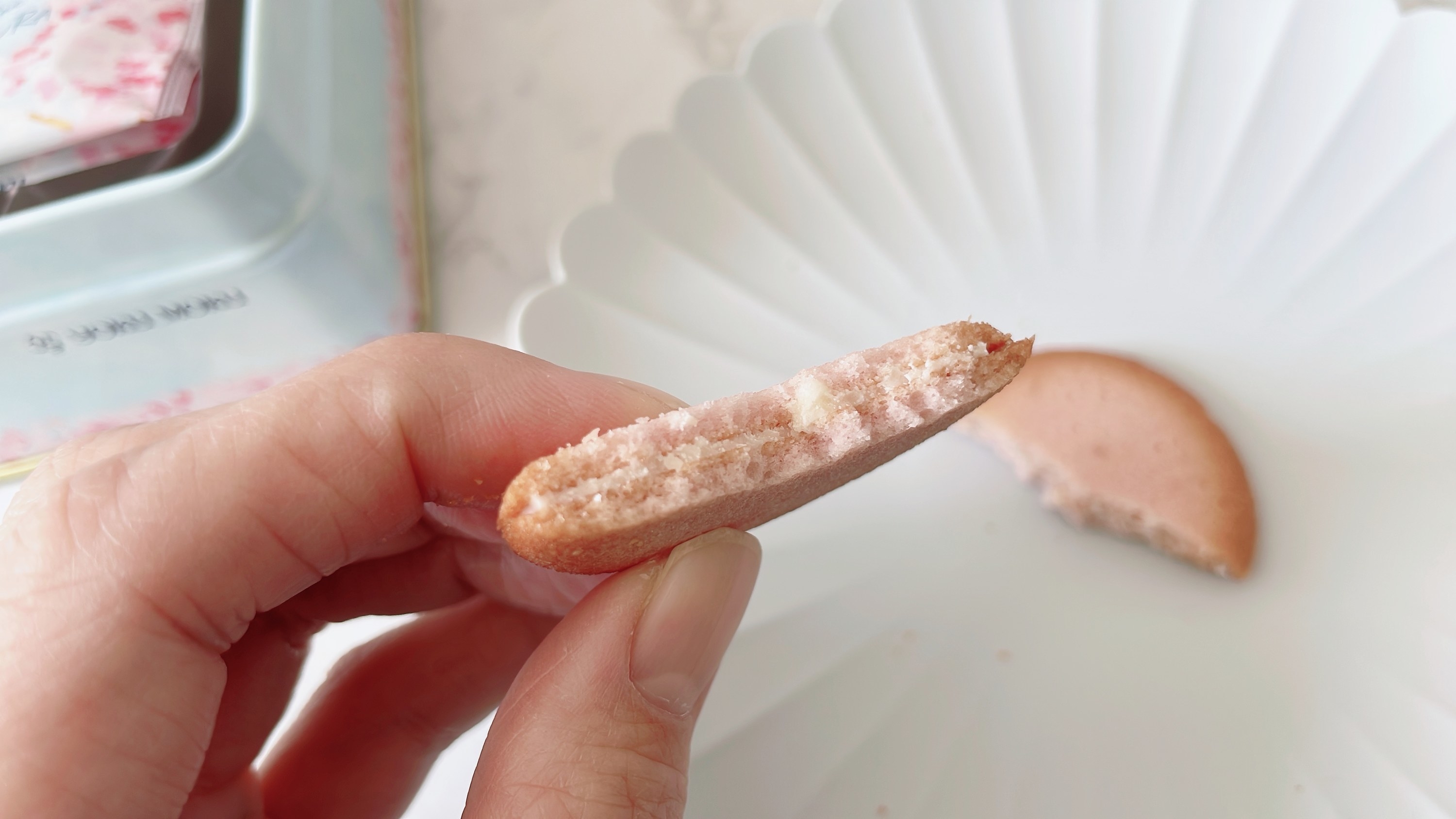 割れたクッキーの断面が見える。手で持たれ白い皿の上に一部が置かれている。