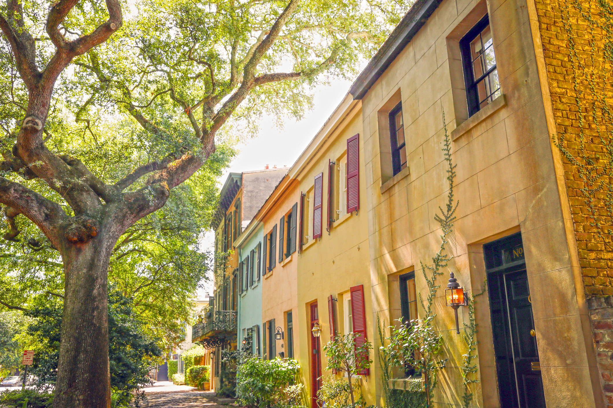 A quiet street in Savannah.