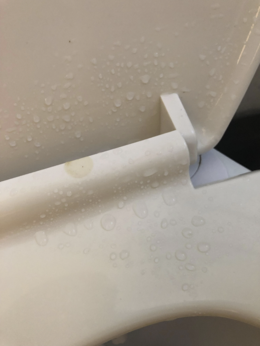 closeup of a wet toilet seat
