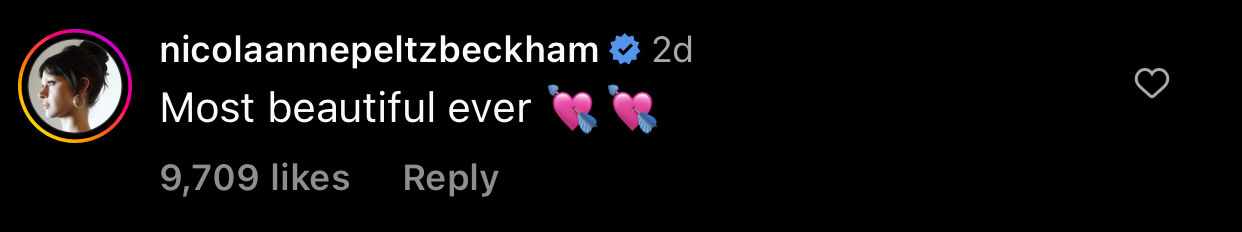 Nicola Peltz Beckham said &quot;Most beautiful ever [two heart emojis with arrows through them]