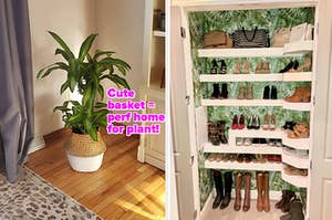 on left, seagrass basket with leafy plant inside on hardwood floor. on right, closet with white and green leaf peel-and-stick wallpaper 