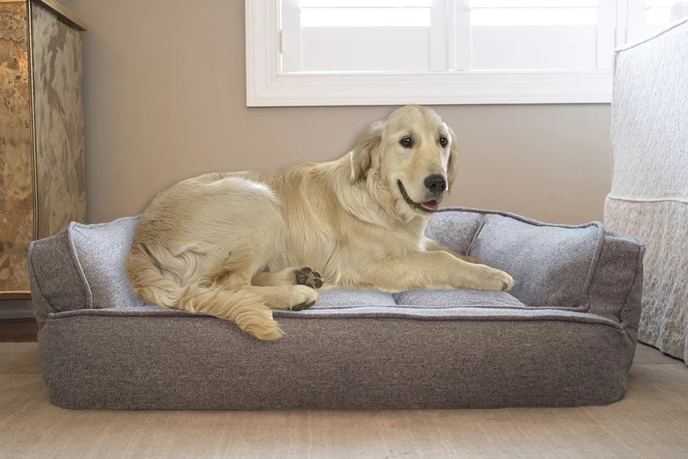 A dog resting on a pet bed