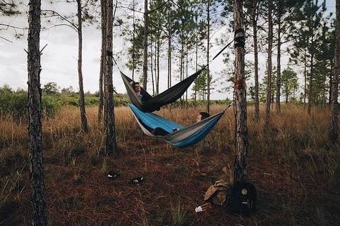 two reviewer's each in their own hammock on top of each other