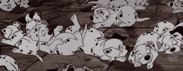 gif from 101 dalmations of all the puppies sleeping