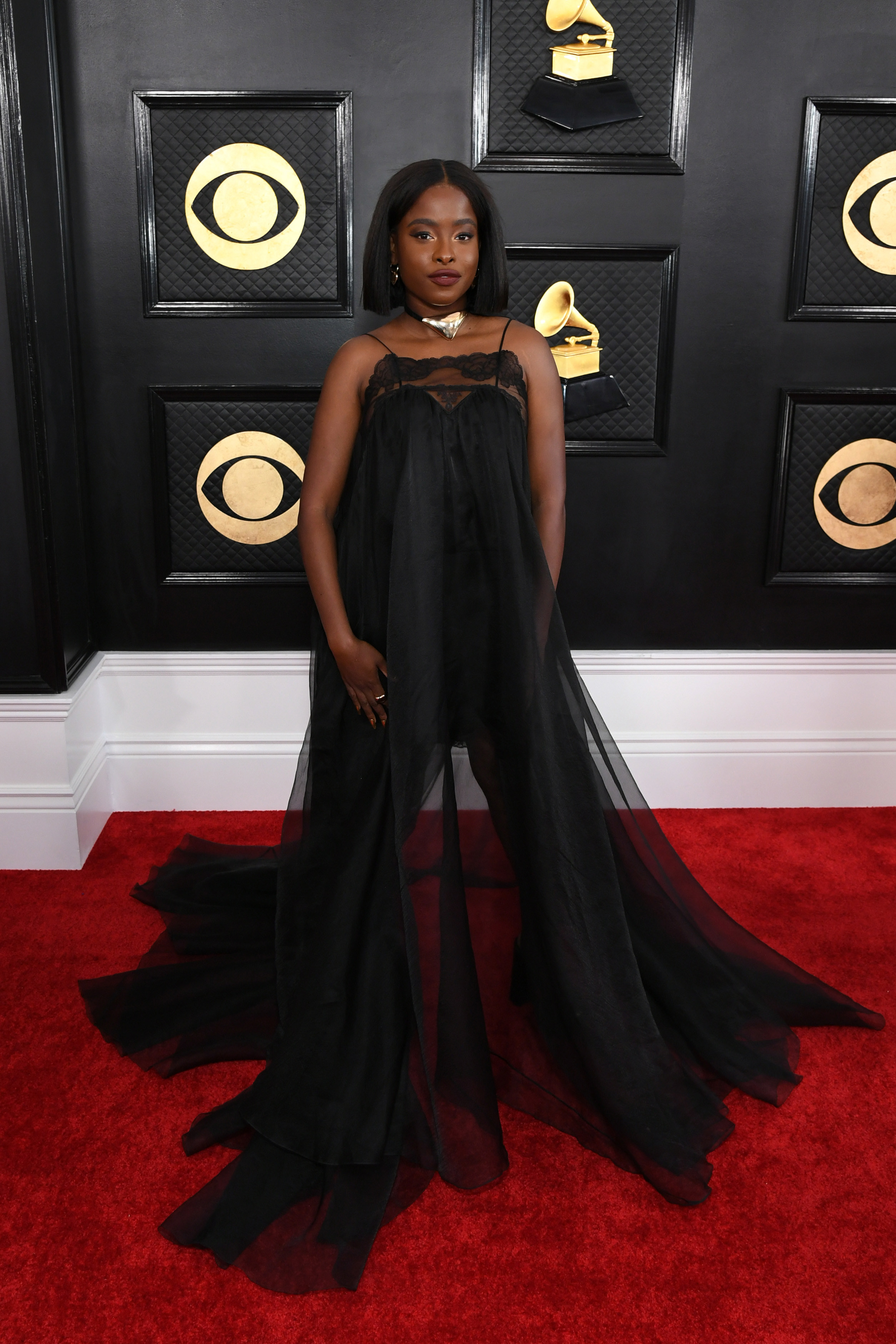 Grammys Red Carpet 2023 Looks - 2